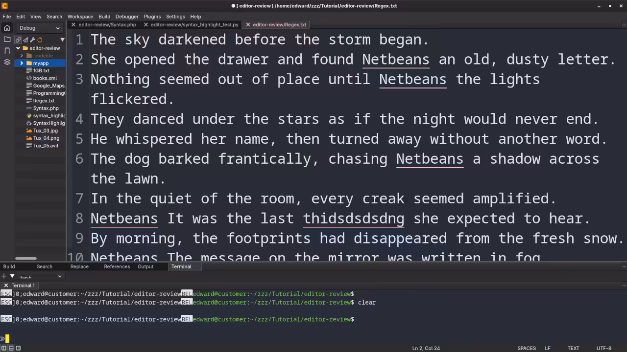 CodeLite Terminal View