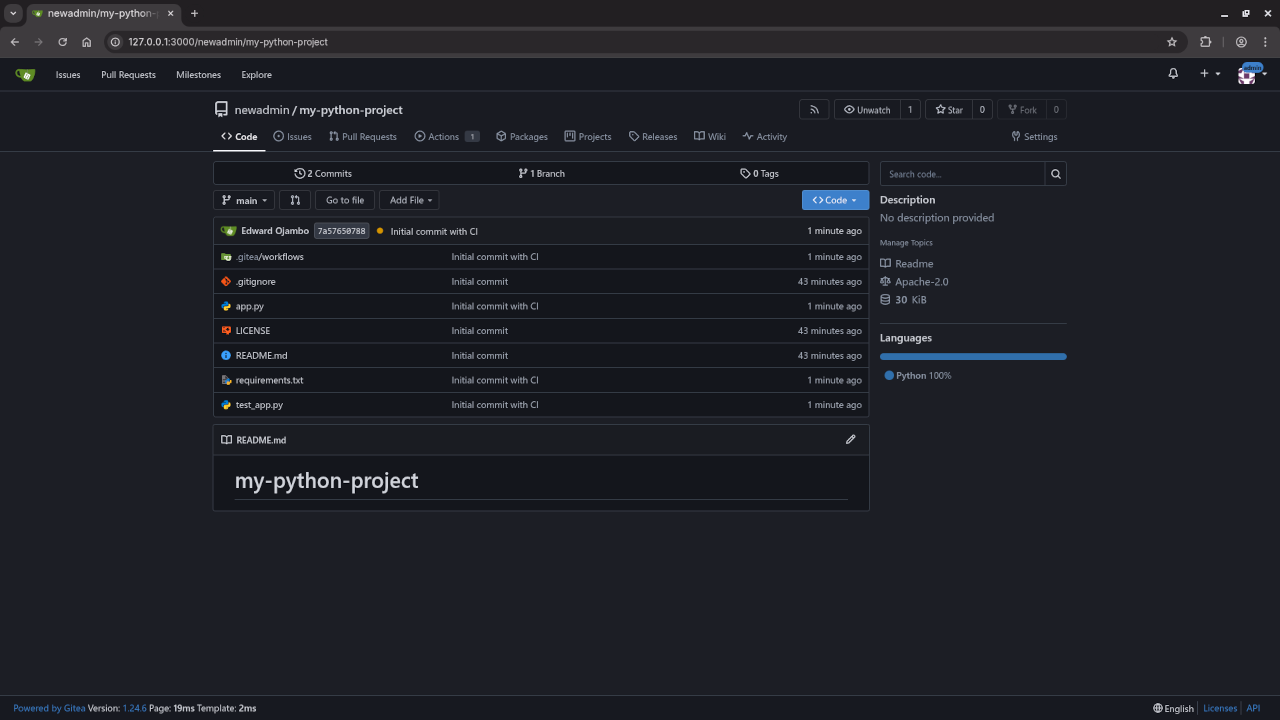 Gitea Repo Code Commits