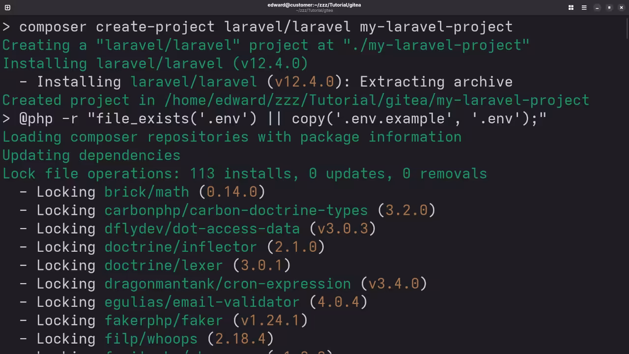 Laravel Installation