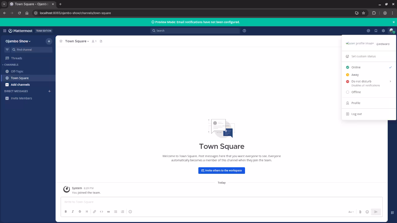 Mattermost User Status