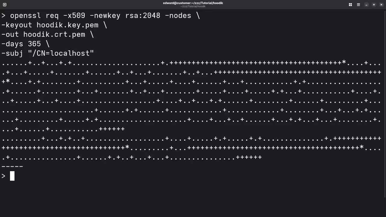 Hoodik Podman SSL Certificate