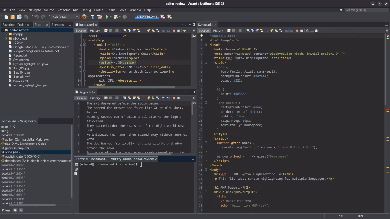 Netbeans 28 Terminal View