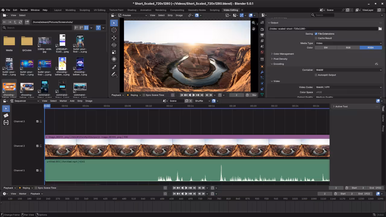 Blnder VSE Workspace