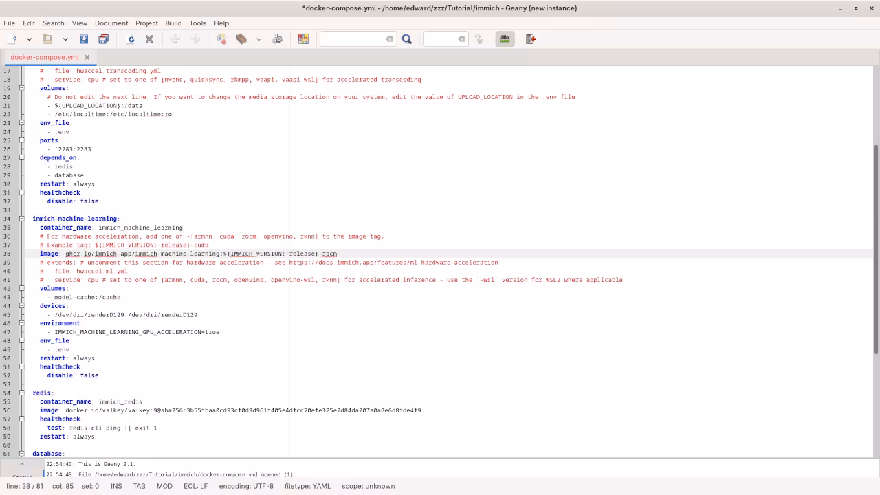 Immich Dashboard Interface