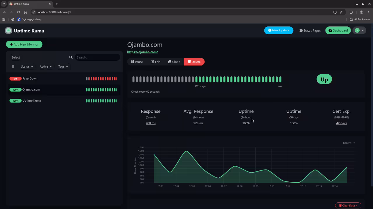 Uptime Kuma uptime graph
