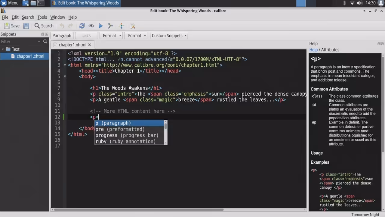 Calibre code editor showing auto complete suggestions and syntax highlighting
