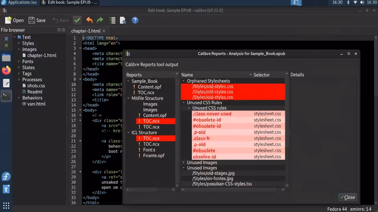 Calibre Reports tool displaying diagnostic analysis of EPUB file structure