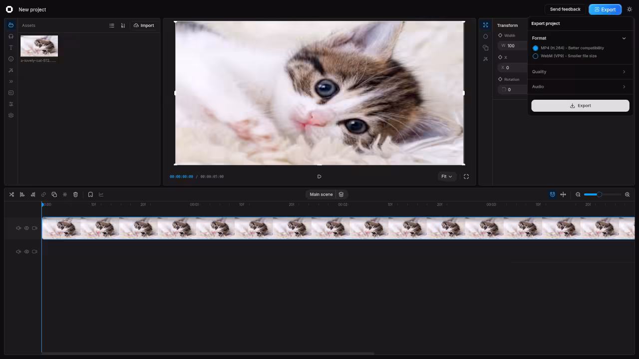 Export Settings