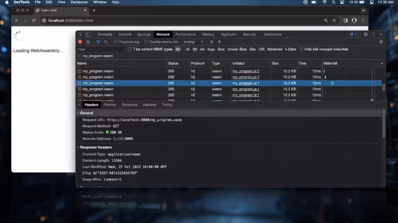 Wasm Network Fetch