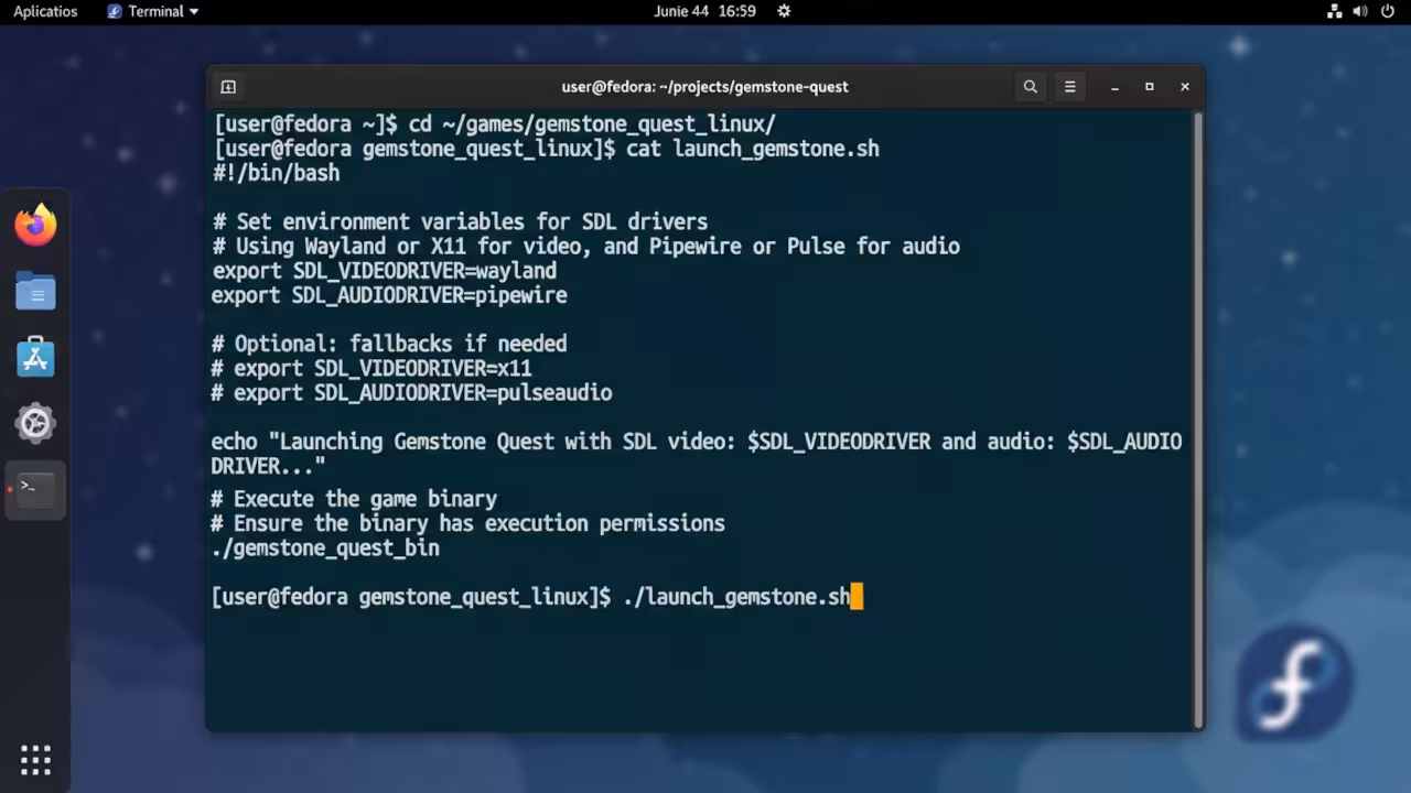 Terminal window with launch script and environment variables