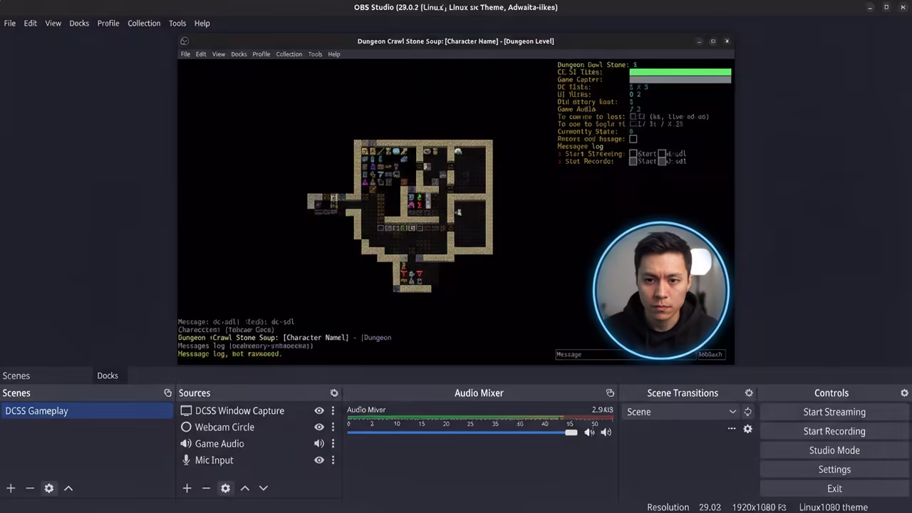 OBS Studio layout with game window and webcam