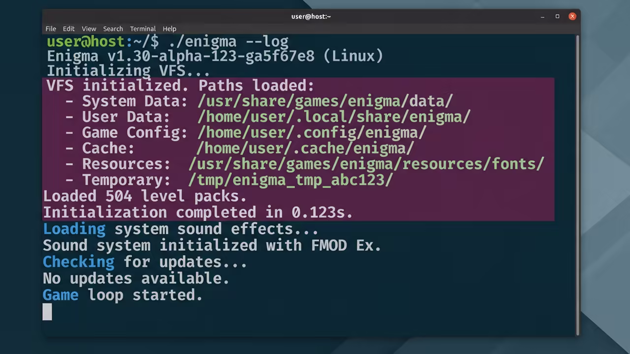 Linux terminal showing Enigma VFS log