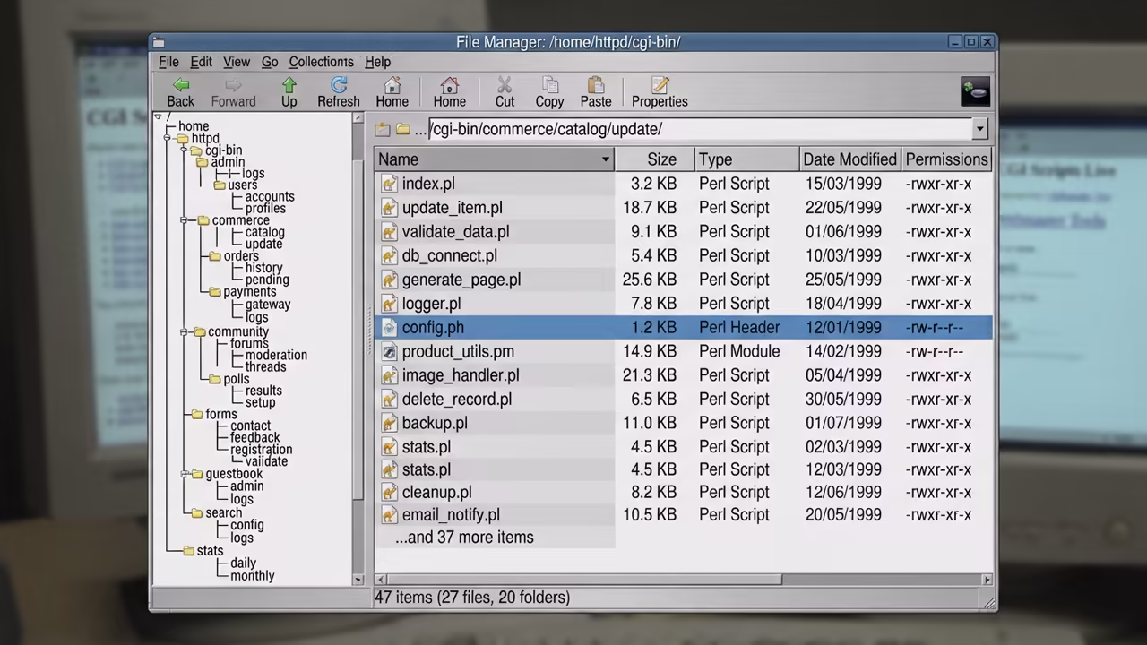 Vintage CGI-BIN web directory structure