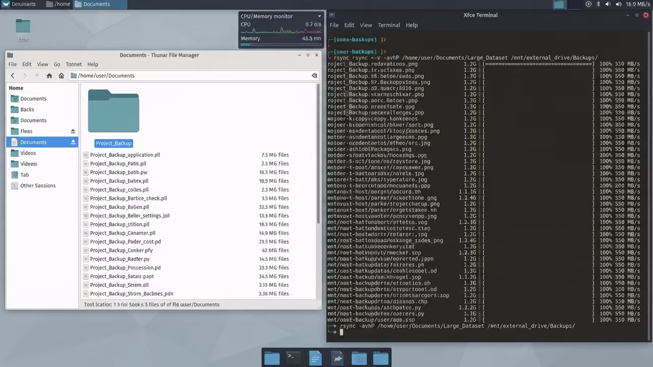 Split screen terminal and file manager