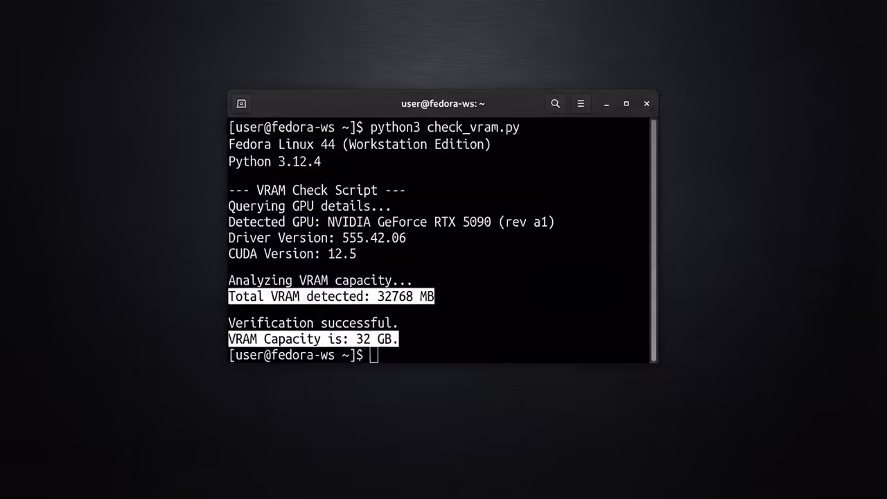 Python VRAM check script results