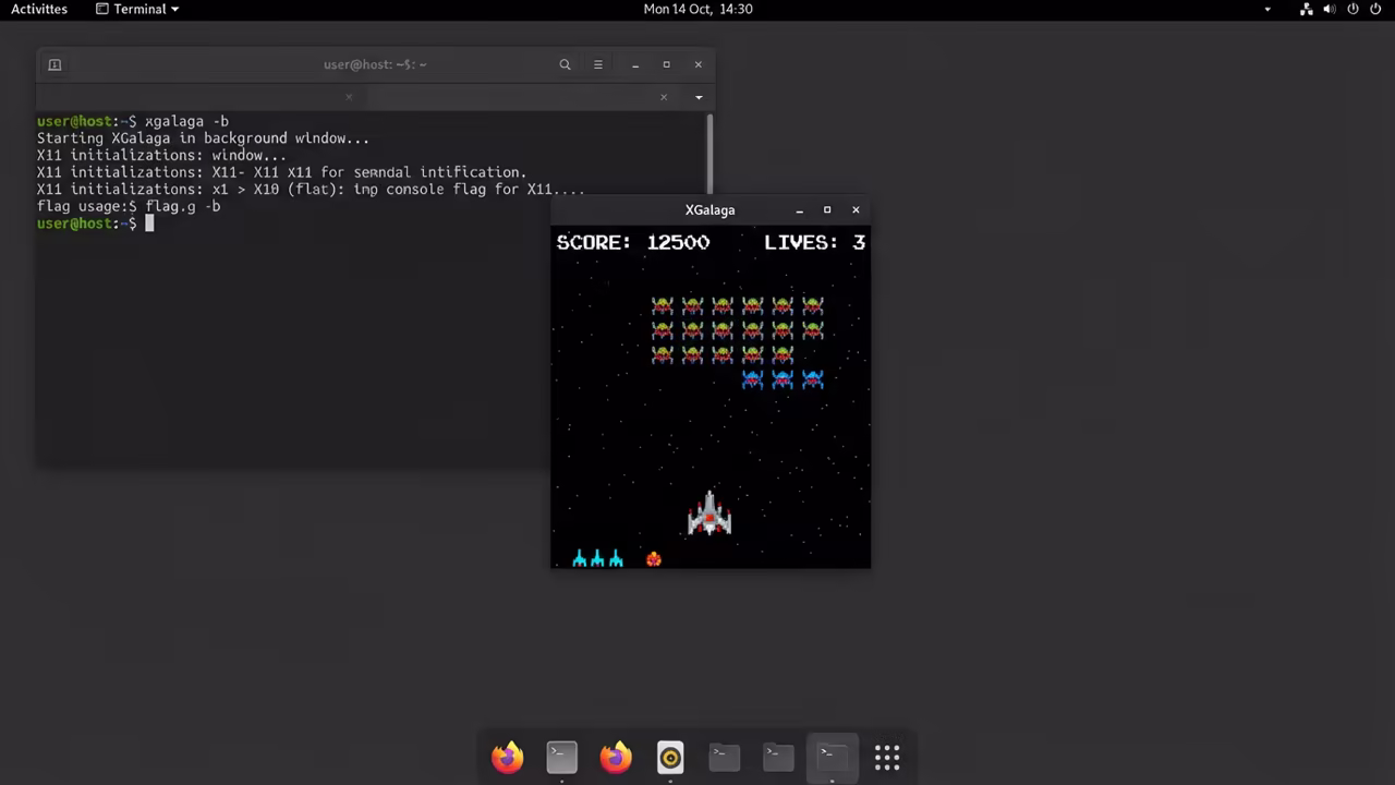 XGalaga buffering disabled