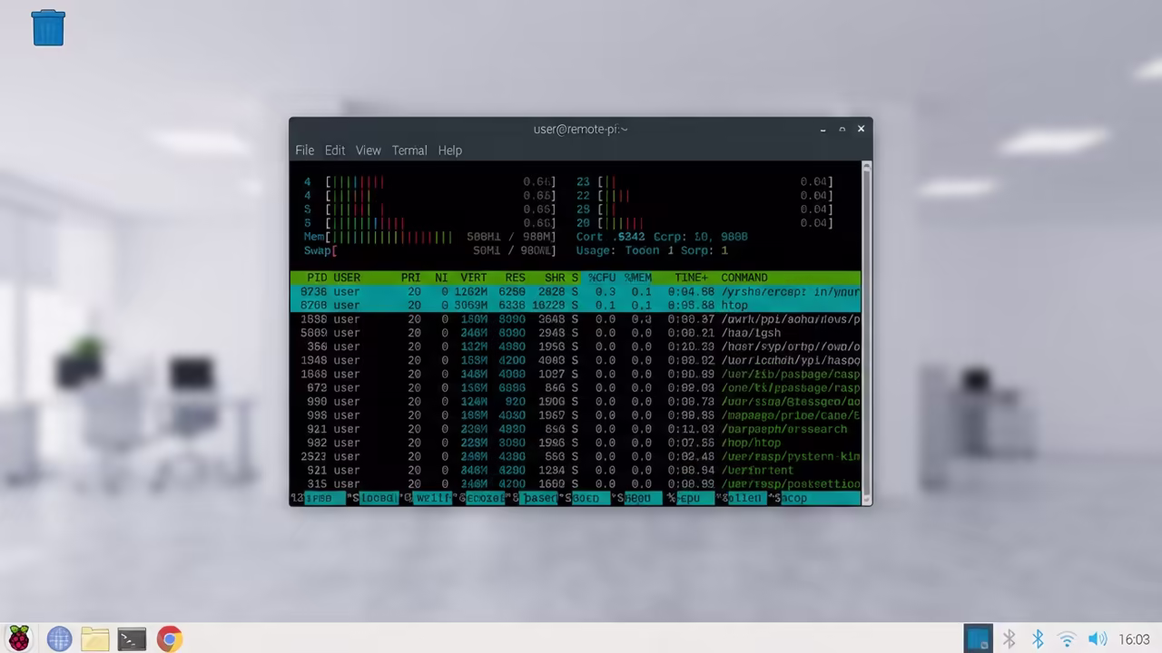 Full screen htop utility on a VNC session