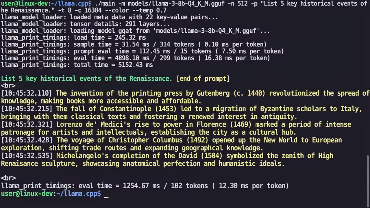 Local Llama 3 GGUF model running in terminal